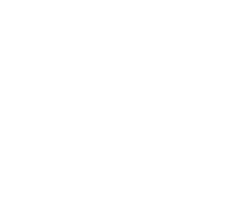 Dog Prime Adestramento